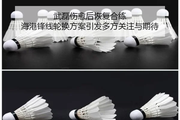 武磊伤愈后恢复合练 海港锋线轮换方案引发多方关注与期待
